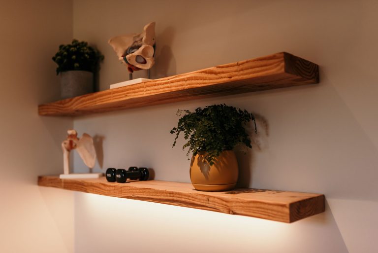 Decorative shelving at Fine Tune Allied Healthcare featuring anatomical models, plants and light weights.